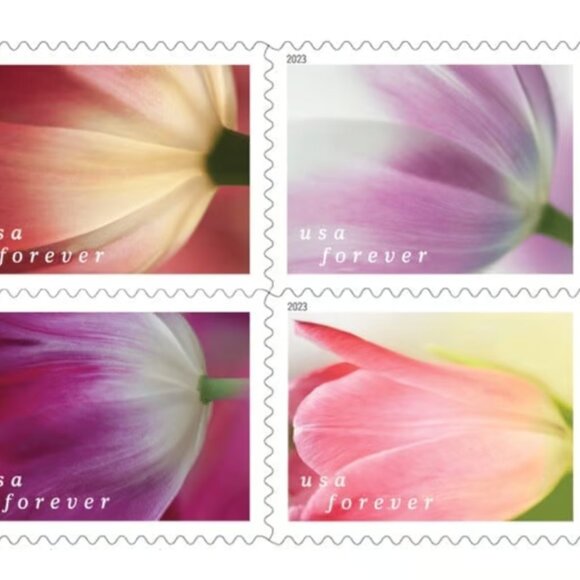 2023 Stamps Tulip Blossoms, 1000 Pcs - Picture 2 of 3